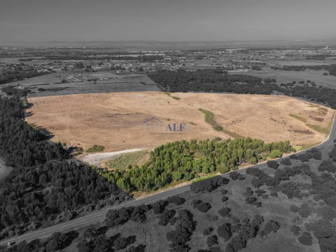 Terreno para Venda em Benavente Foto 13