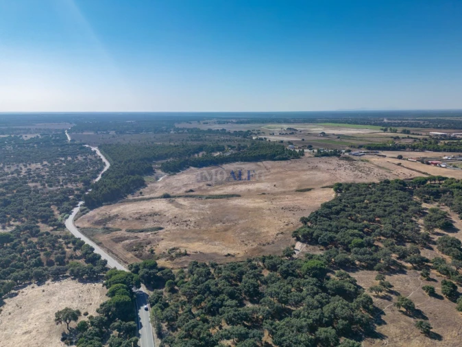 Terreno para Venda em Benavente Foto 2