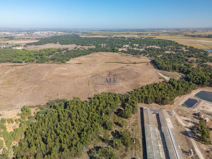 Terreno para Venda em Benavente Foto 9