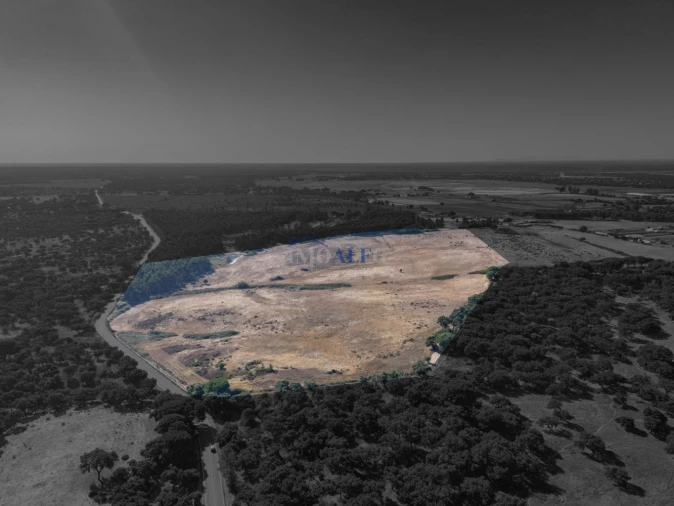 Terreno para Venda em Benavente Foto 8