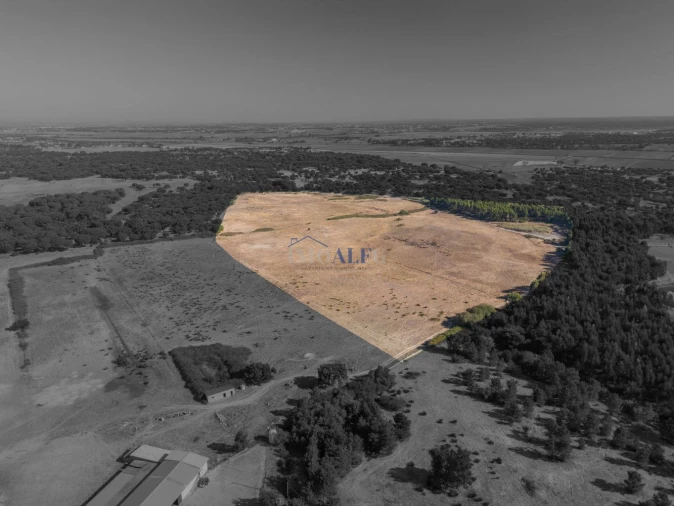 Terreno para Venda em Benavente