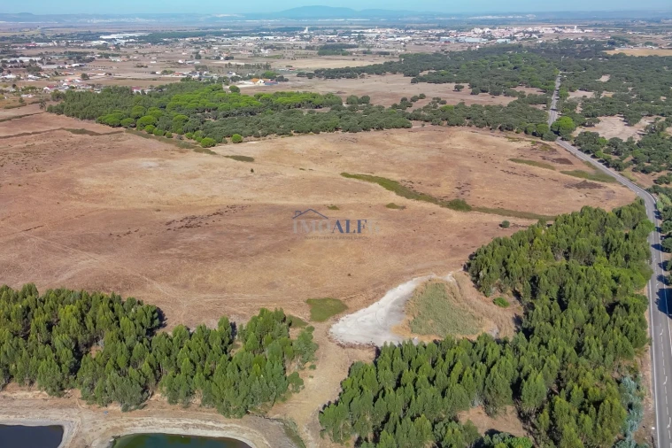 Terreno para Venda em Benavente Foto 7