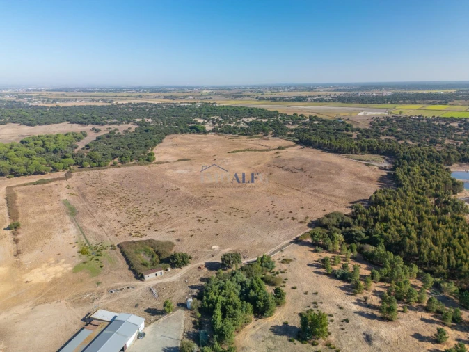 Terreno para Venda em Benavente Foto 3