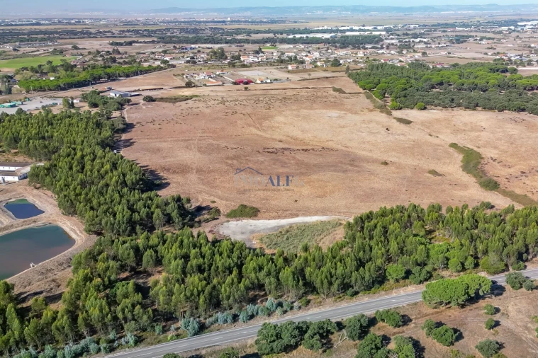 Terreno para Venda em Benavente Foto 6