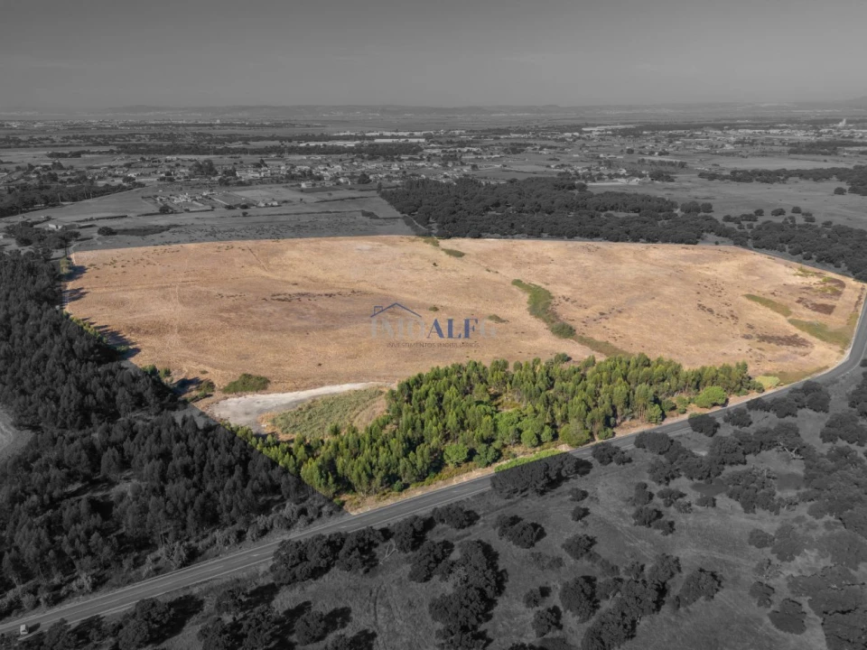 Terreno para Venda em Benavente Foto 13