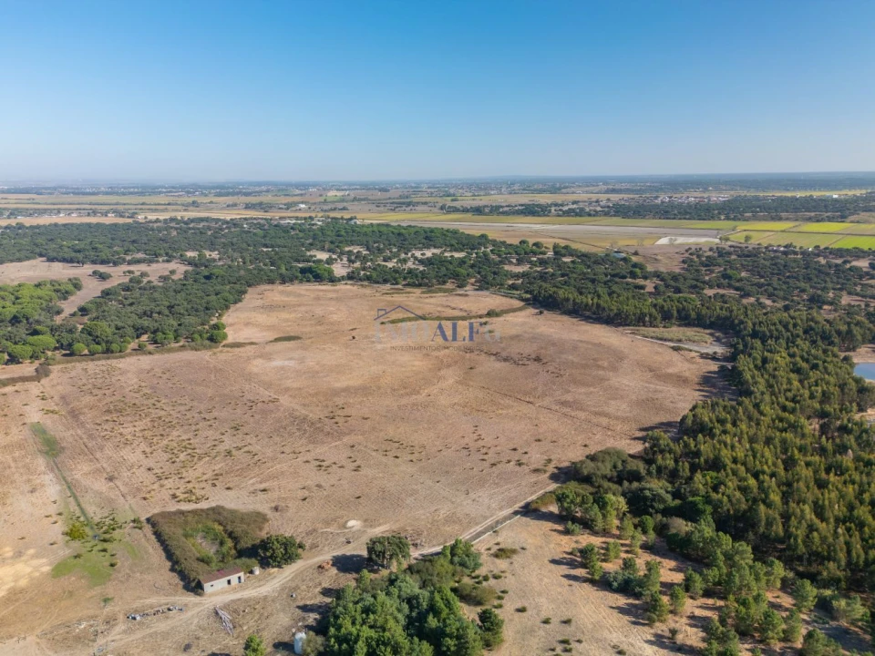 Terreno para Venda em Benavente Foto 4
