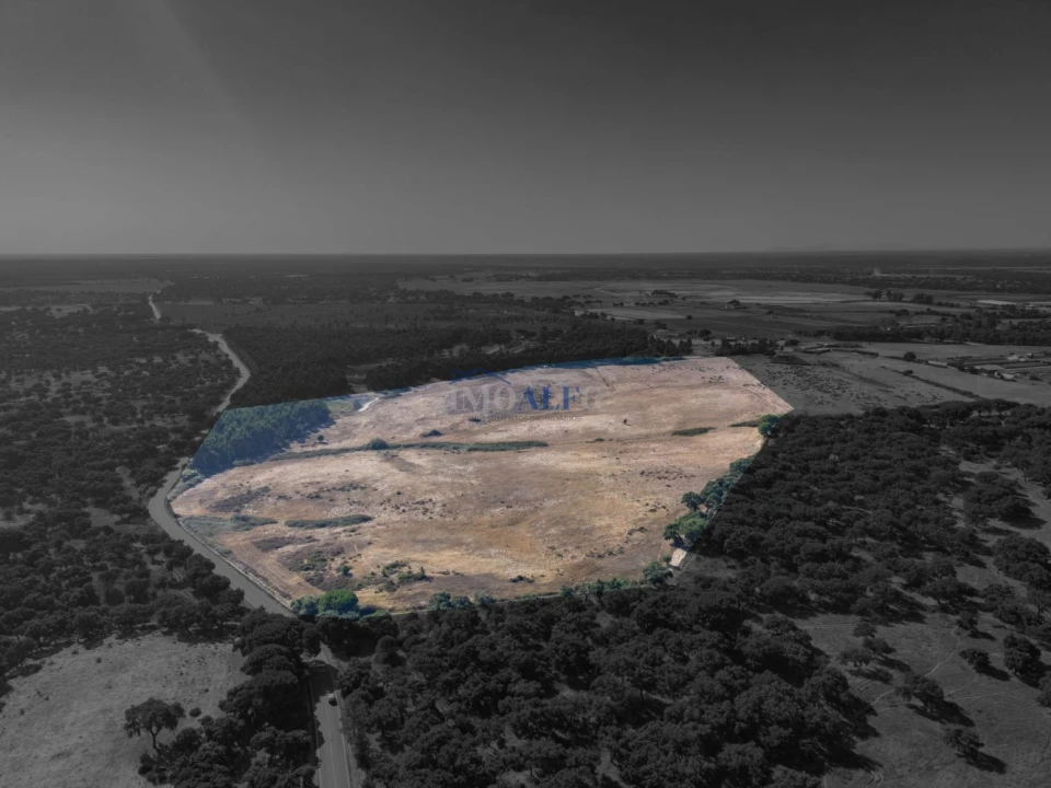 Terreno para Venda em Benavente Foto 8