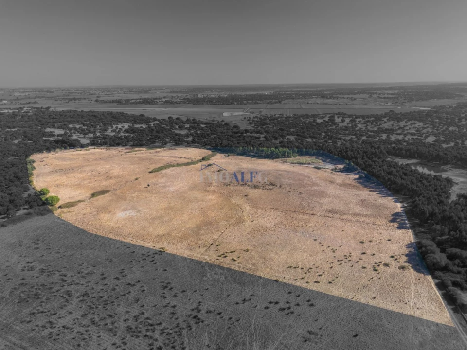 Terreno para Venda em Benavente Foto 5