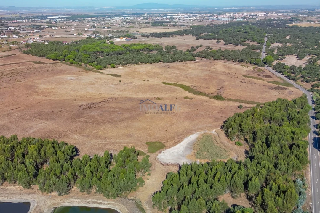 Terreno para Venda em Benavente Foto 7