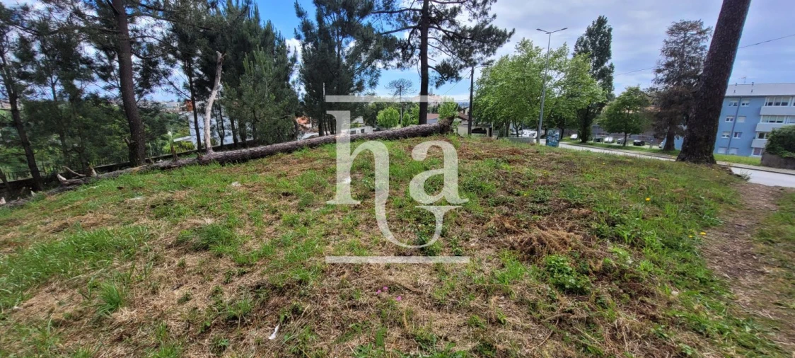 Terreno para Venda em Campanhã Foto 10