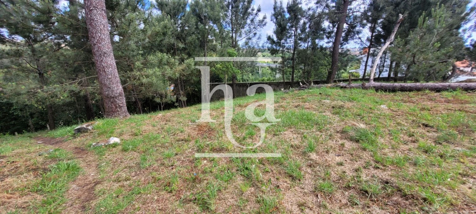 Terreno para Venda em Campanhã Foto 11