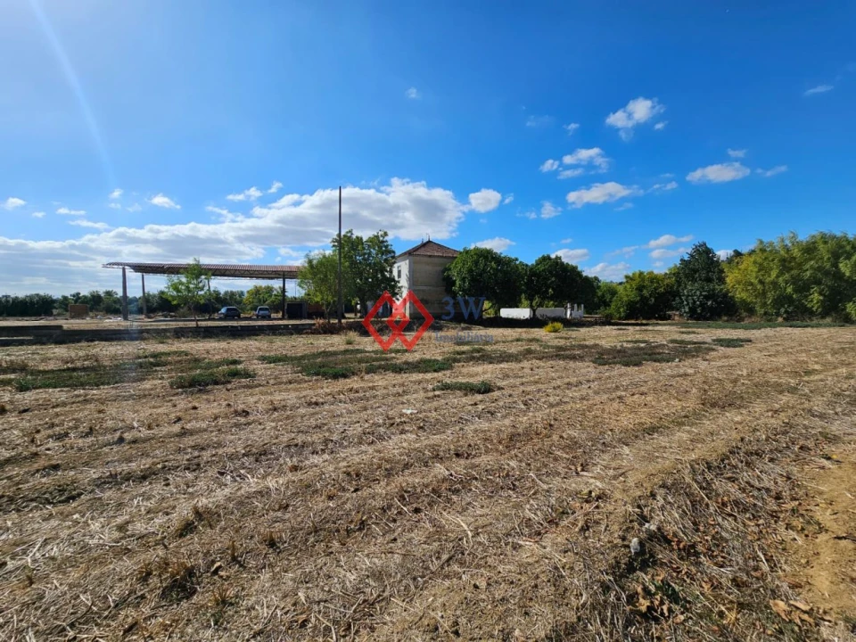 Quinta T6 para Venda em Torres Novas (Santa Maria, Salvador e Santiago) Foto 41