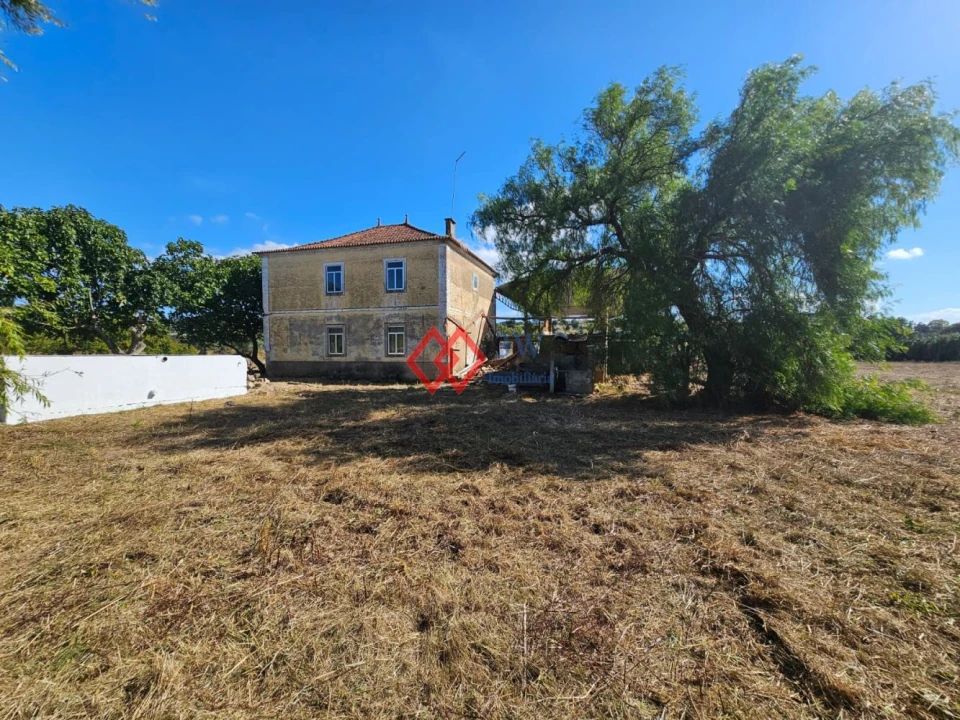 Quinta T6 para Venda em Torres Novas (Santa Maria, Salvador e Santiago) Foto 17