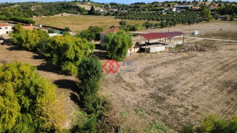 Quinta T6 para Venda em Torres Novas (Santa Maria, Salvador e Santiago)