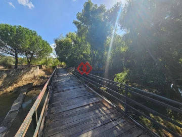 Quinta T6 para Venda em Torres Novas (Santa Maria, Salvador e Santiago)