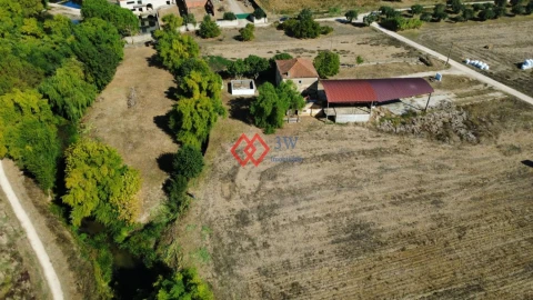 Quinta T6 para Venda em Torres Novas (Santa Maria, Salvador e Santiago)