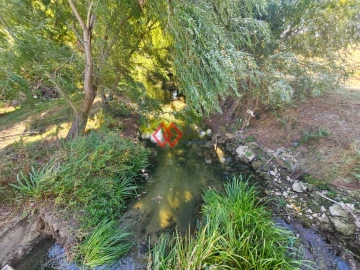 Quinta T6 para Venda em Torres Novas (Santa Maria, Salvador e Santiago)