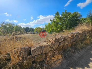 Quinta T6 para Venda em Torres Novas (Santa Maria, Salvador e Santiago)