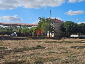 Quinta T6 para Venda em Torres Novas (Santa Maria, Salvador e Santiago)