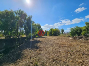 Quinta T6 para Venda em Torres Novas (Santa Maria, Salvador e Santiago)