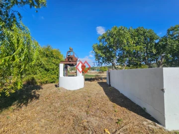 Quinta T6 para Venda em Torres Novas (Santa Maria, Salvador e Santiago)