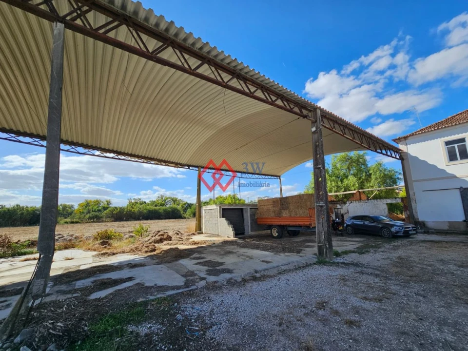 Quinta T6 para Venda em Torres Novas (Santa Maria, Salvador e Santiago) Foto 4
