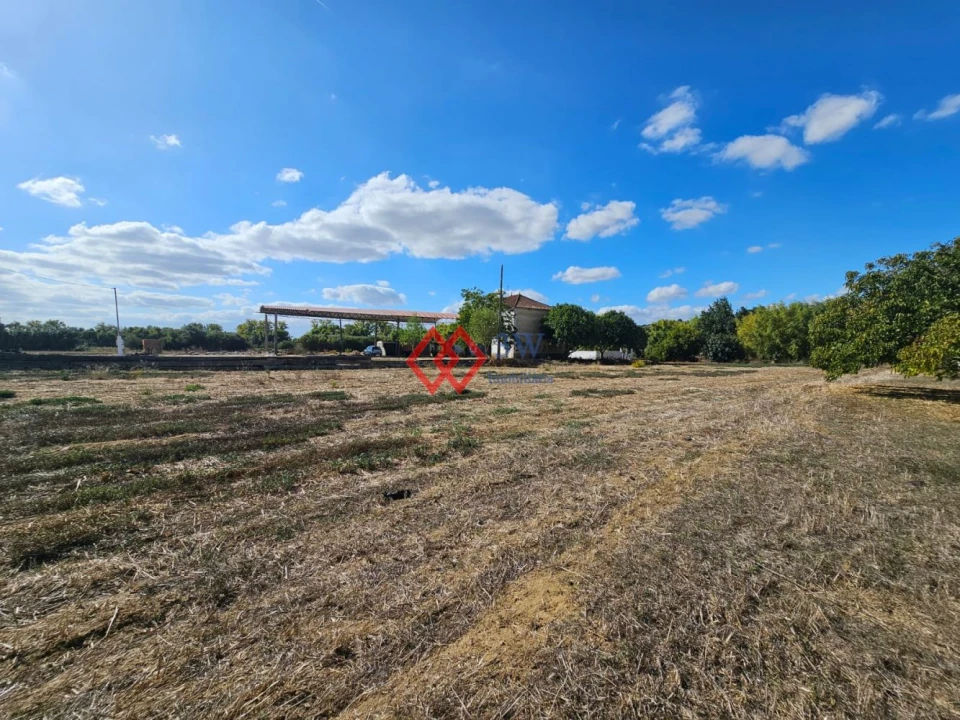 Quinta T6 para Venda em Torres Novas (Santa Maria, Salvador e Santiago) Foto 24