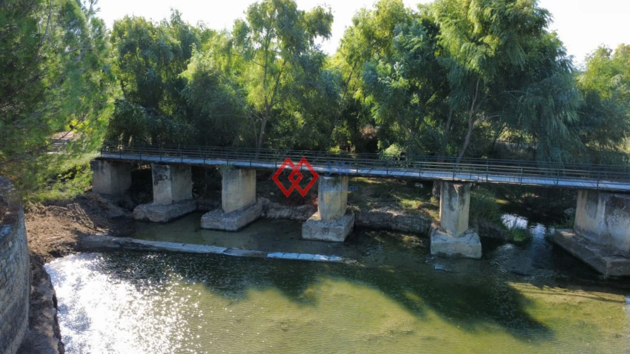 Quinta T6 para Venda em Torres Novas (Santa Maria, Salvador e Santiago) Foto 7