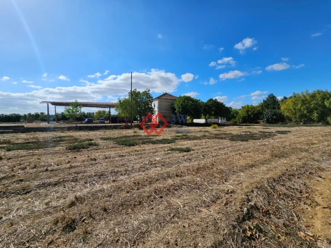 Quinta T6 para Venda em Torres Novas (Santa Maria, Salvador e Santiago) Foto 41
