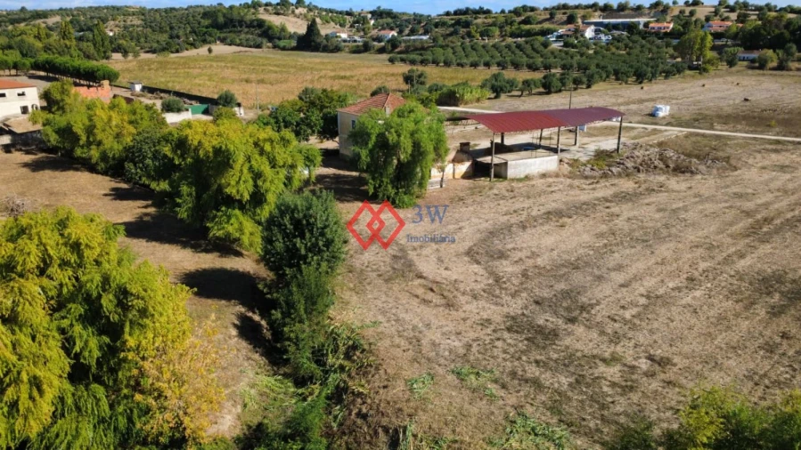 Quinta T6 para Venda em Torres Novas (Santa Maria, Salvador e Santiago) Foto 38