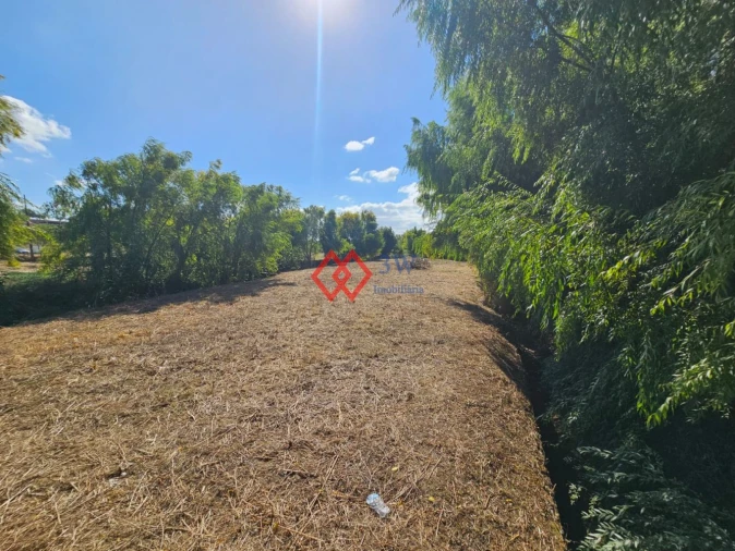 Quinta T6 para Venda em Torres Novas (Santa Maria, Salvador e Santiago) Foto 5