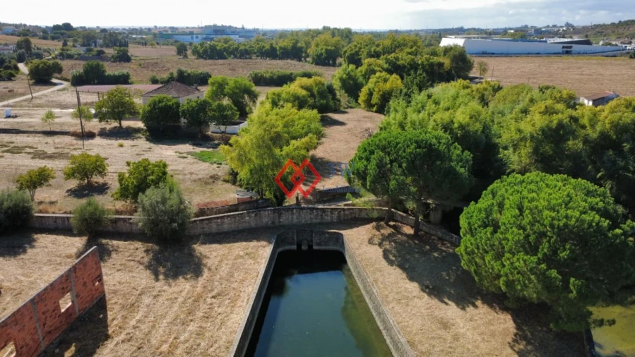 Quinta T6 para Venda em Torres Novas (Santa Maria, Salvador e Santiago) Foto 46