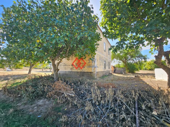 Quinta T6 para Venda em Torres Novas (Santa Maria, Salvador e Santiago) Foto 53