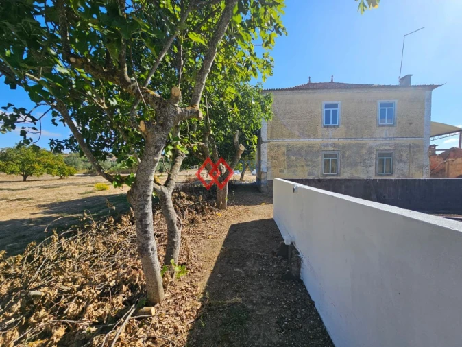 Quinta T6 para Venda em Torres Novas (Santa Maria, Salvador e Santiago) Foto 48