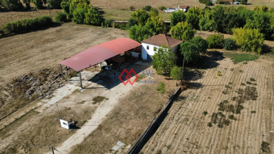 Quinta T6 para Venda em Torres Novas (Santa Maria, Salvador e Santiago) Foto 32