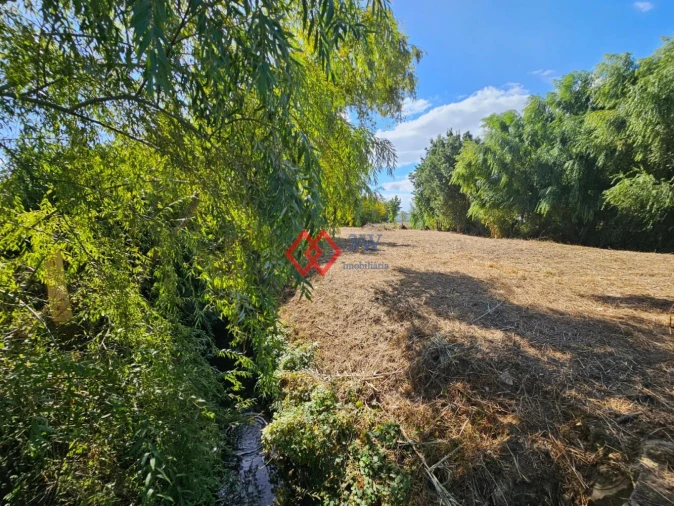 Quinta T6 para Venda em Torres Novas (Santa Maria, Salvador e Santiago) Foto 39