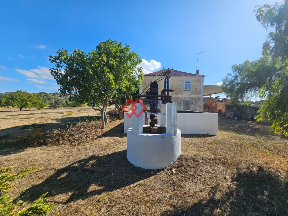 Quinta T6 para Venda em Torres Novas (Santa Maria, Salvador e Santiago) Foto 53