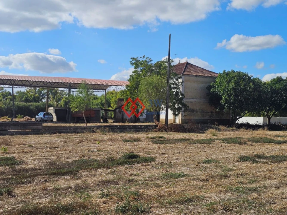 Quinta T6 para Venda em Torres Novas (Santa Maria, Salvador e Santiago) Foto 44