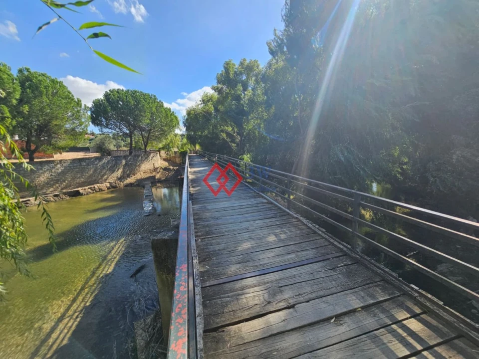 Quinta T6 para Venda em Torres Novas (Santa Maria, Salvador e Santiago) Foto 23