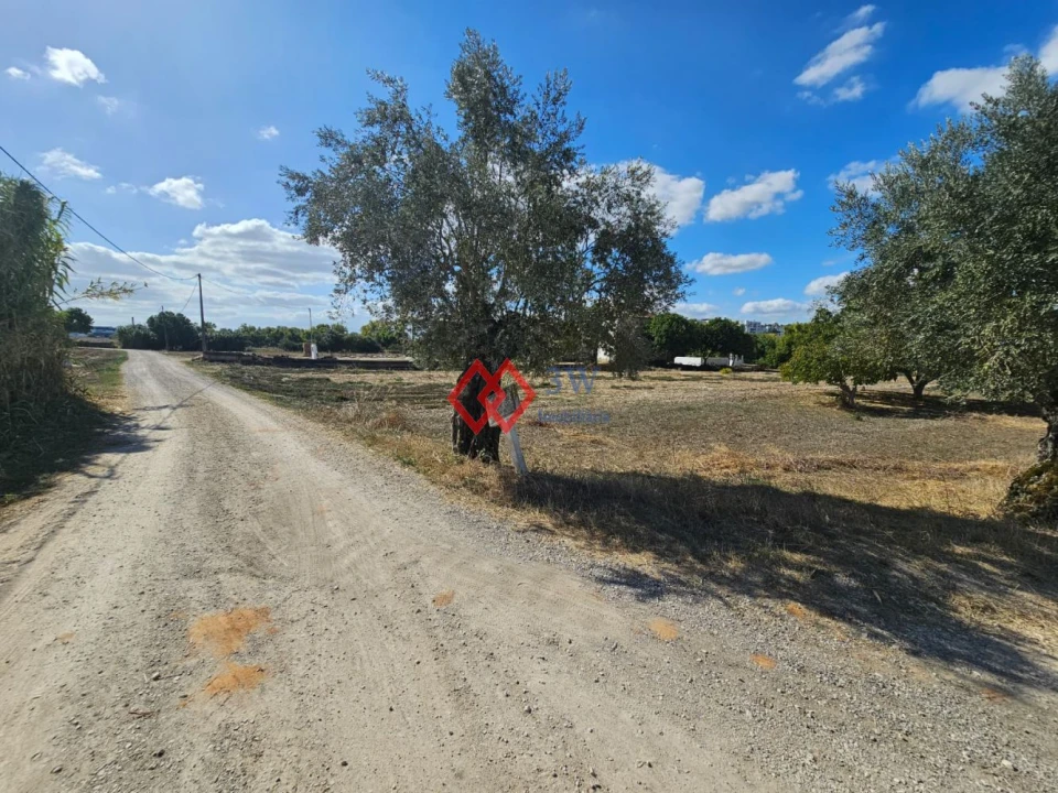Quinta T6 para Venda em Torres Novas (Santa Maria, Salvador e Santiago) Foto 16