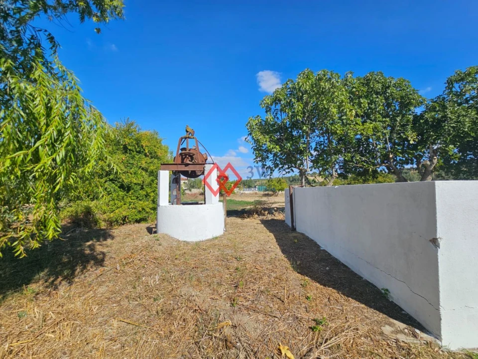 Quinta T6 para Venda em Torres Novas (Santa Maria, Salvador e Santiago) Foto 6