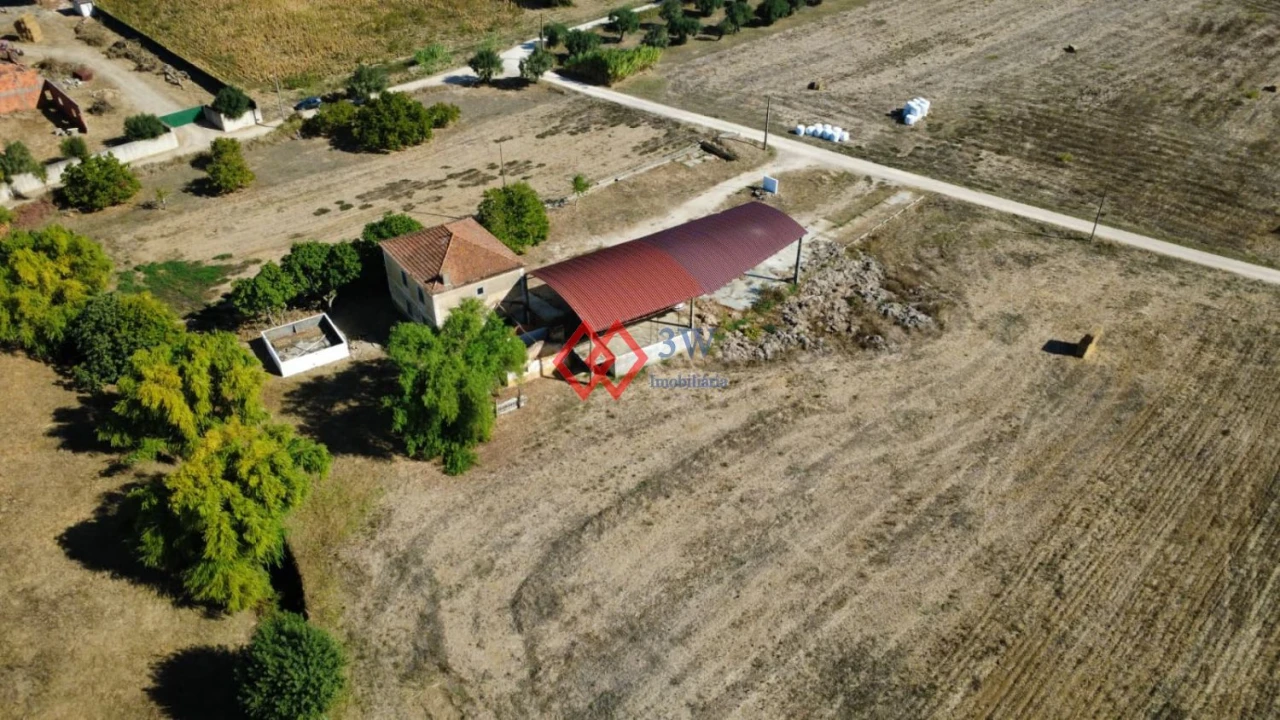 Quinta T6 para Venda em Torres Novas (Santa Maria, Salvador e Santiago) Foto 8