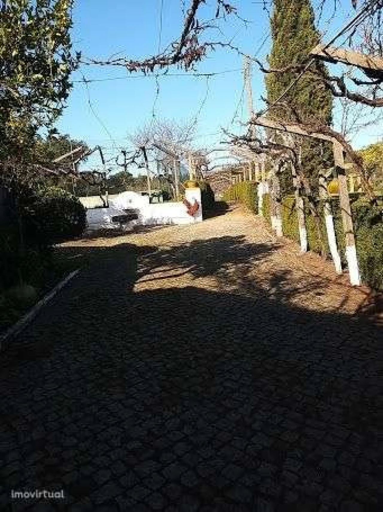 Loja para Venda em São Pedro de Tomar Foto 20