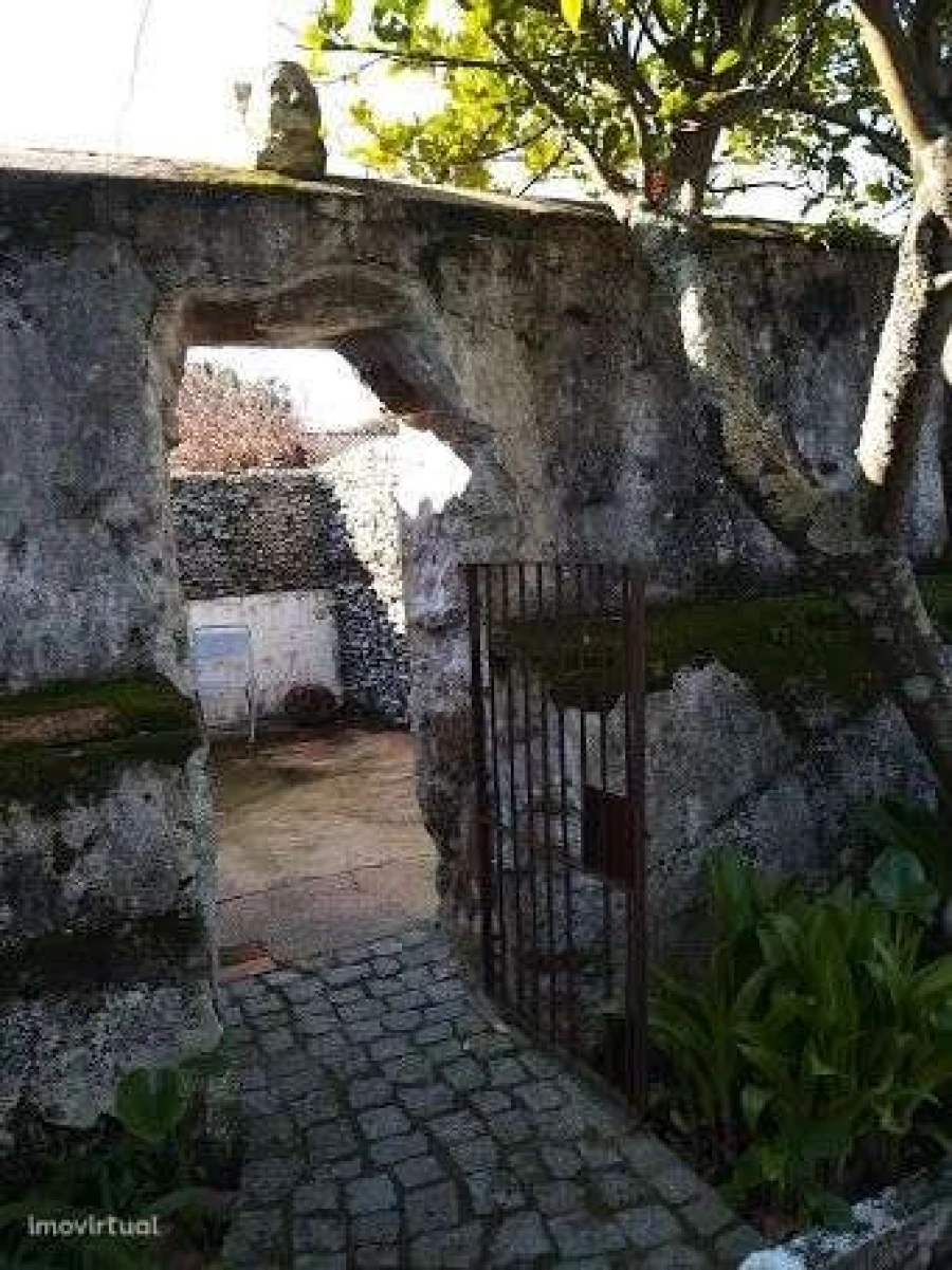Loja para Venda em São Pedro de Tomar Foto 21