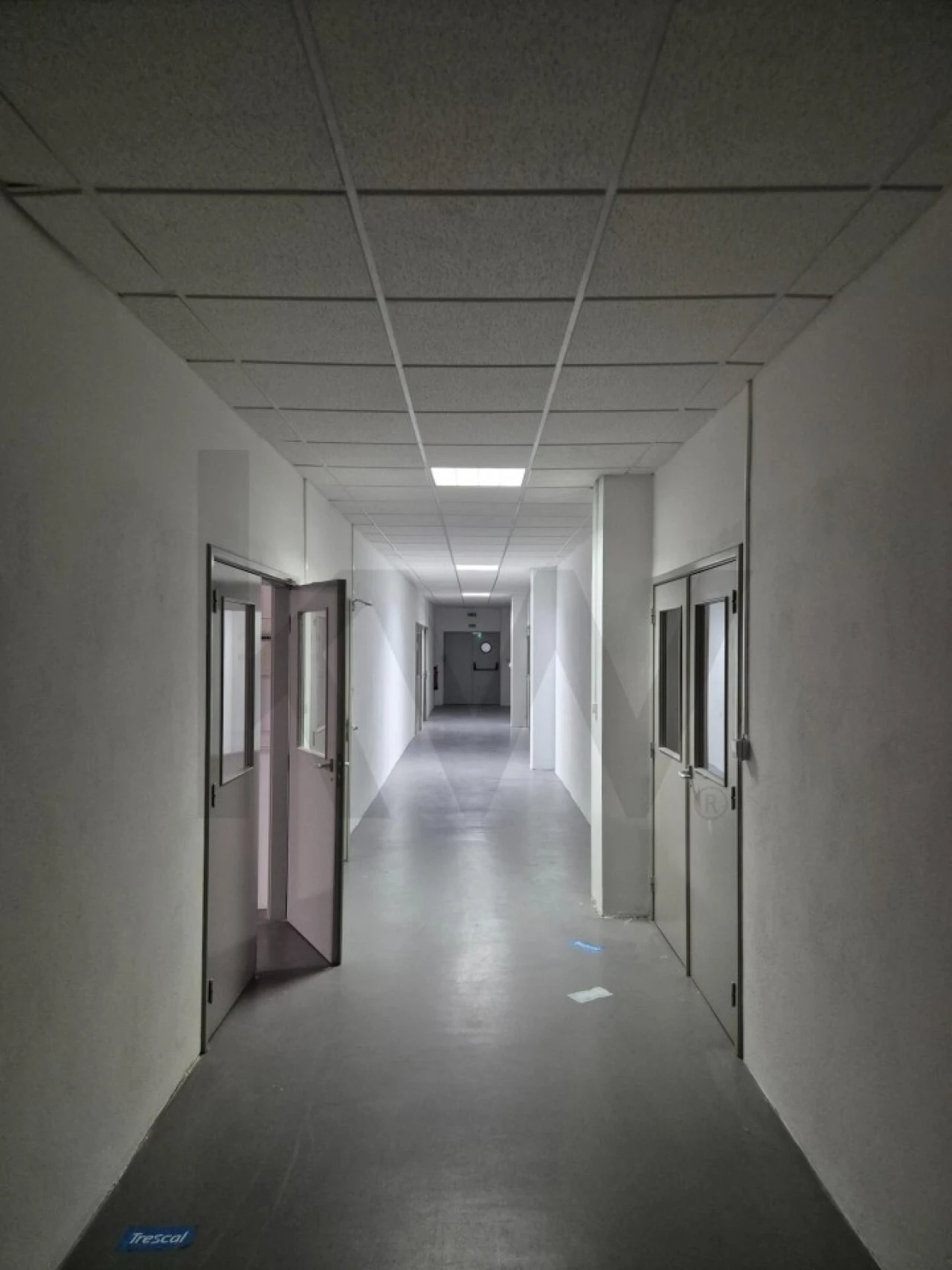 Armazém para Arrendamento em Palmela Foto 18