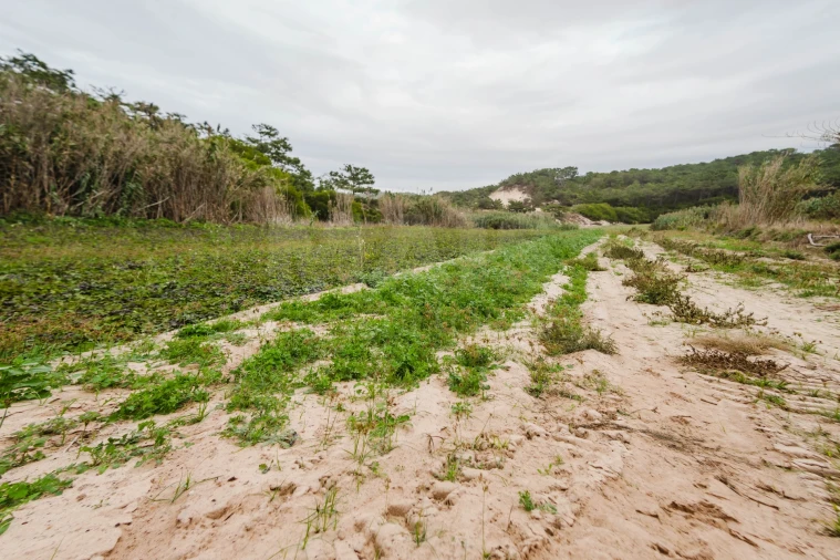 Terreno para Venda em Ferrel Foto 1