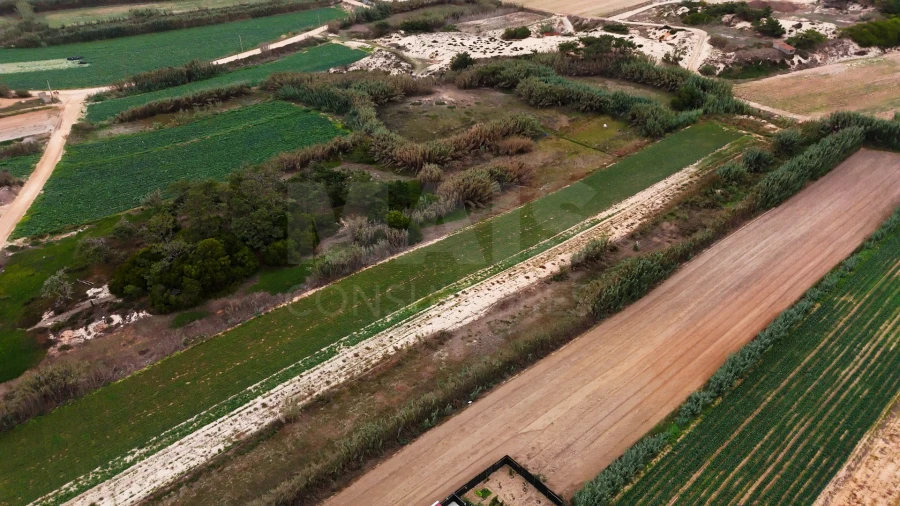 Terreno para Venda em Ferrel Foto 4
