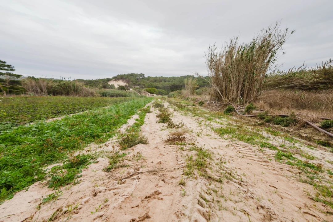 Terreno para Venda em Ferrel Foto 2