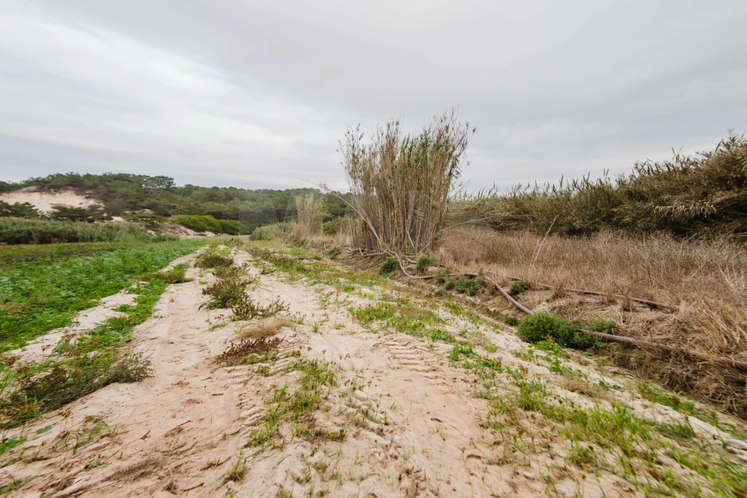 Terreno para Venda em Ferrel Foto 3