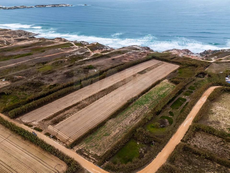 Terreno para Venda em Ferrel Foto 1